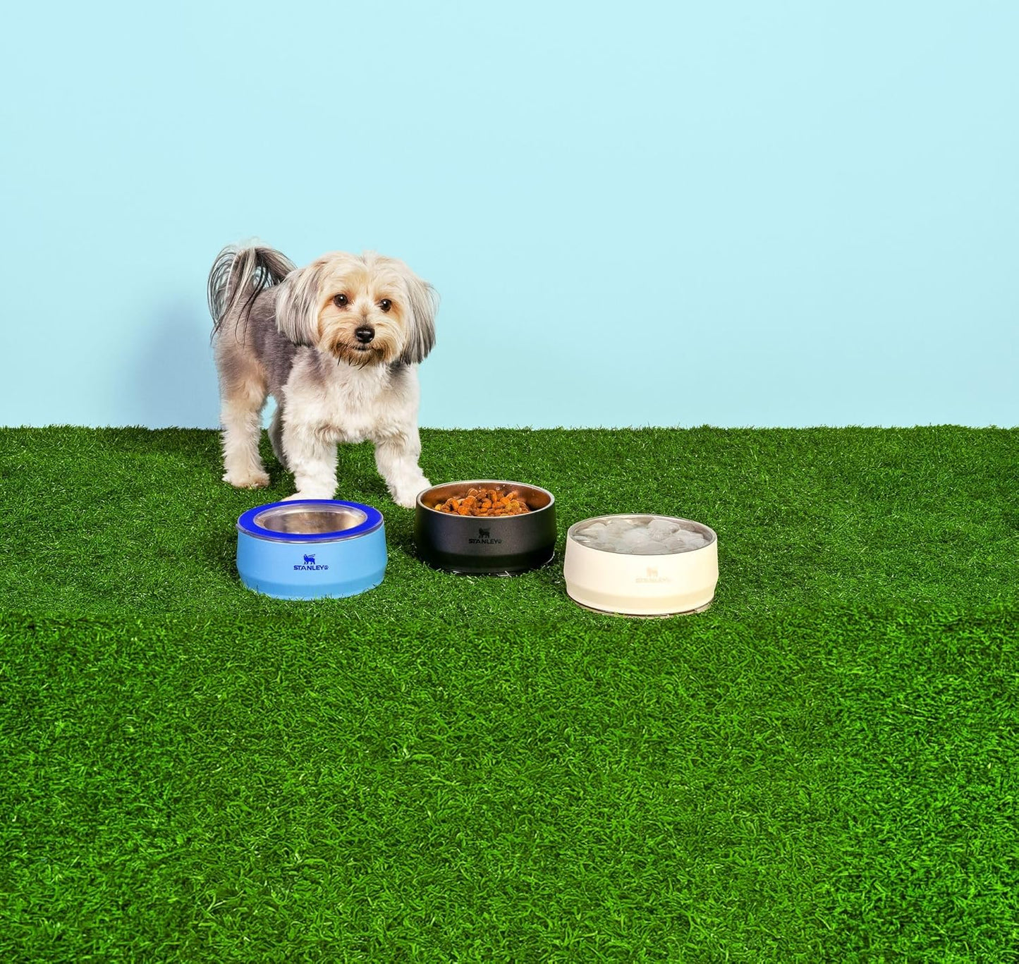 STANLEY Pet Bowl | 3-Cup (24 oz) Insulated Stainless Steel Dog & Cat Bowl | Splash-Resistant Lid | Dishwasher Safe | BPA-Free | Blue Sky