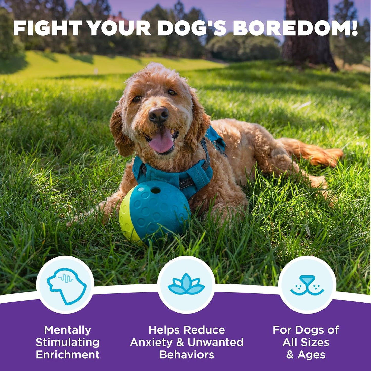 Outward Hound by Nina Ottosson Treat Tumble – Interactive Food-Dispensing Dog Puzzle Ball, Level 1 Beginner, Small, 4.8"