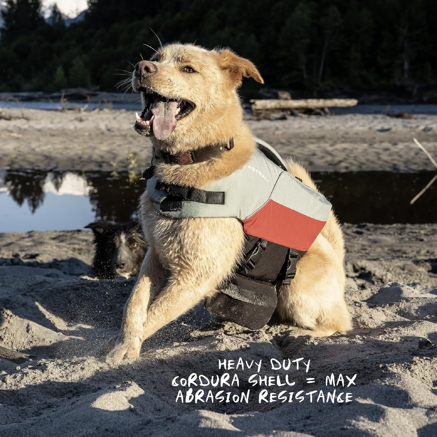 Astral BirdDog Canine Life Jacket - Durable, High-Buoyancy Dog Life Vest for Swimming & Boating - Hound Gray - X-Small