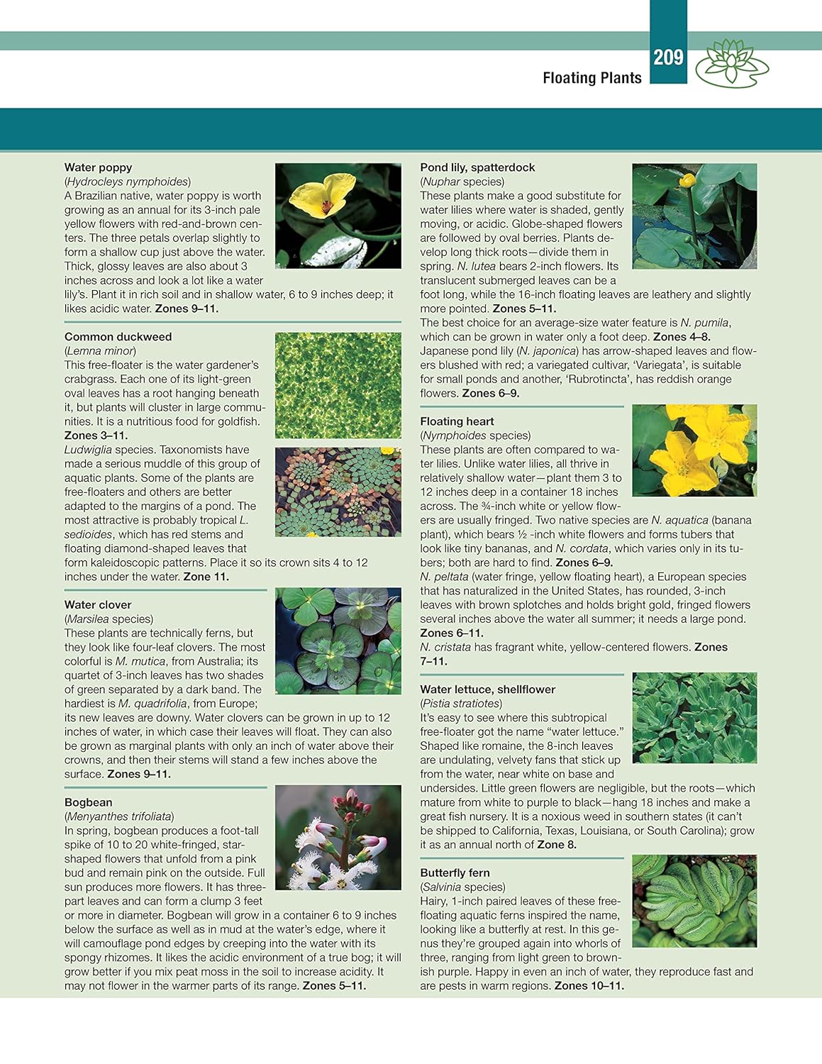 DIY Guide to Ponds, Fountains, Rain Gardens & Water Features, Revised Edition: Designing, Constructing, Planting (Creative Homeowner) Landscaping with Aquatic Plants, Fish, Wooden Bridges, and More