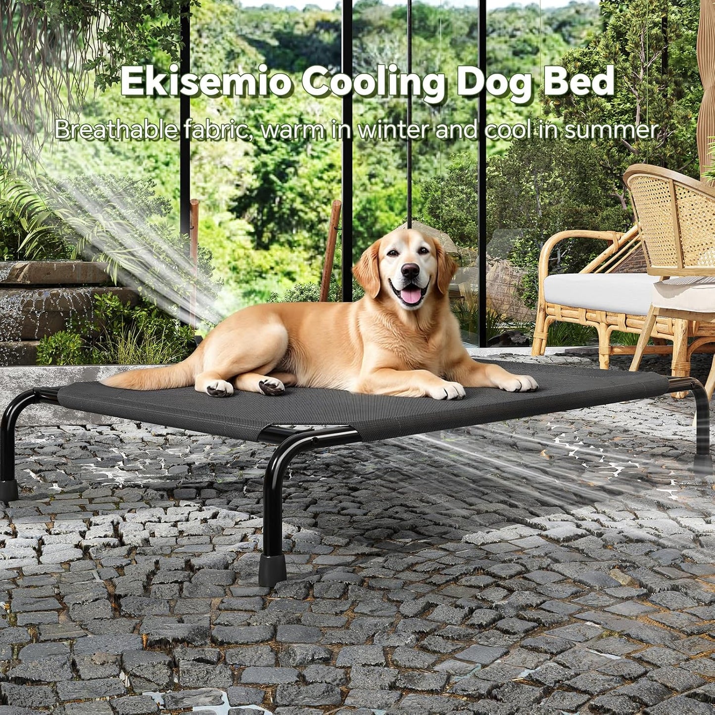 Elevated Dog Bed for Large Dogs, Waterproof XL Pet Cot with Breathable Mesh, Outdoor & Indoor Cooling Dog Bed, Raised Frame for Joint Support, Black