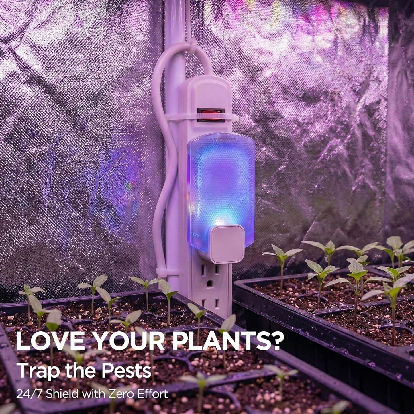 2 Flying Insect Traps+10 Refill Cartridges, 2026 2nd Gen, Fruit Fly Trap Indoor, Gnat Killer Plug-in, Multi-Spectrum LED Flying Insect Trap, No-Mess Bug Zapper, 7*24hrs Pest Control, Plant & Pet Safe