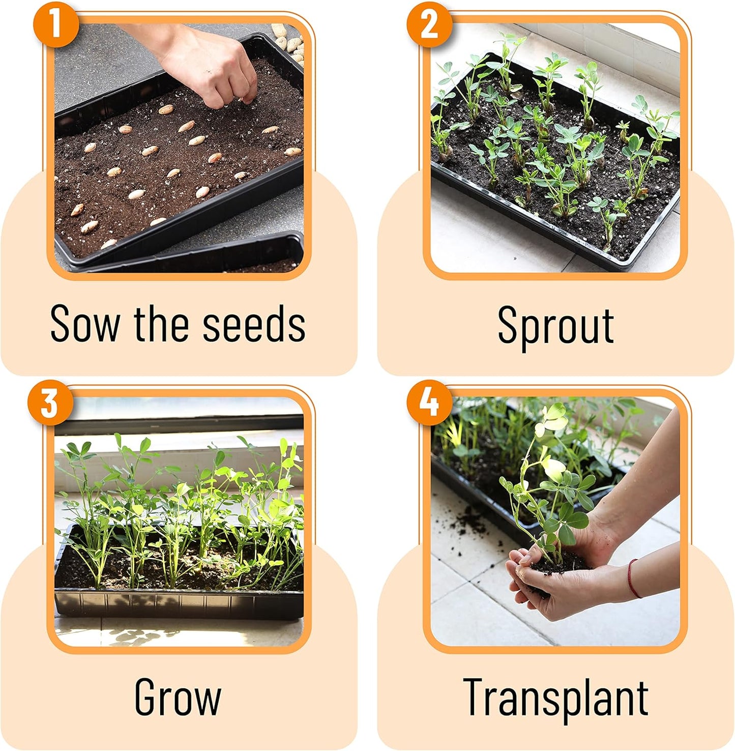 Mr. Pen- Plastic Growing Trays, 5Pack, Black, 17x10, Plant Tray, Seed Tray, Seedling Tray, Propagation Tray, Plant Trays for Seedlings, Planting Trays, Microgreens Growing Trays, Seedling Starter Tray