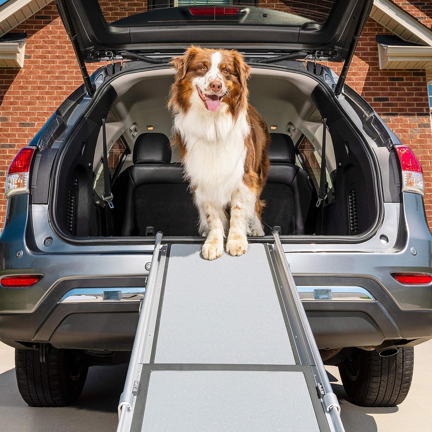 PetSafe Happy Ride Telescoping Dog Ramp for Cars, Trucks, & SUVs + Side Door Access Adaptor