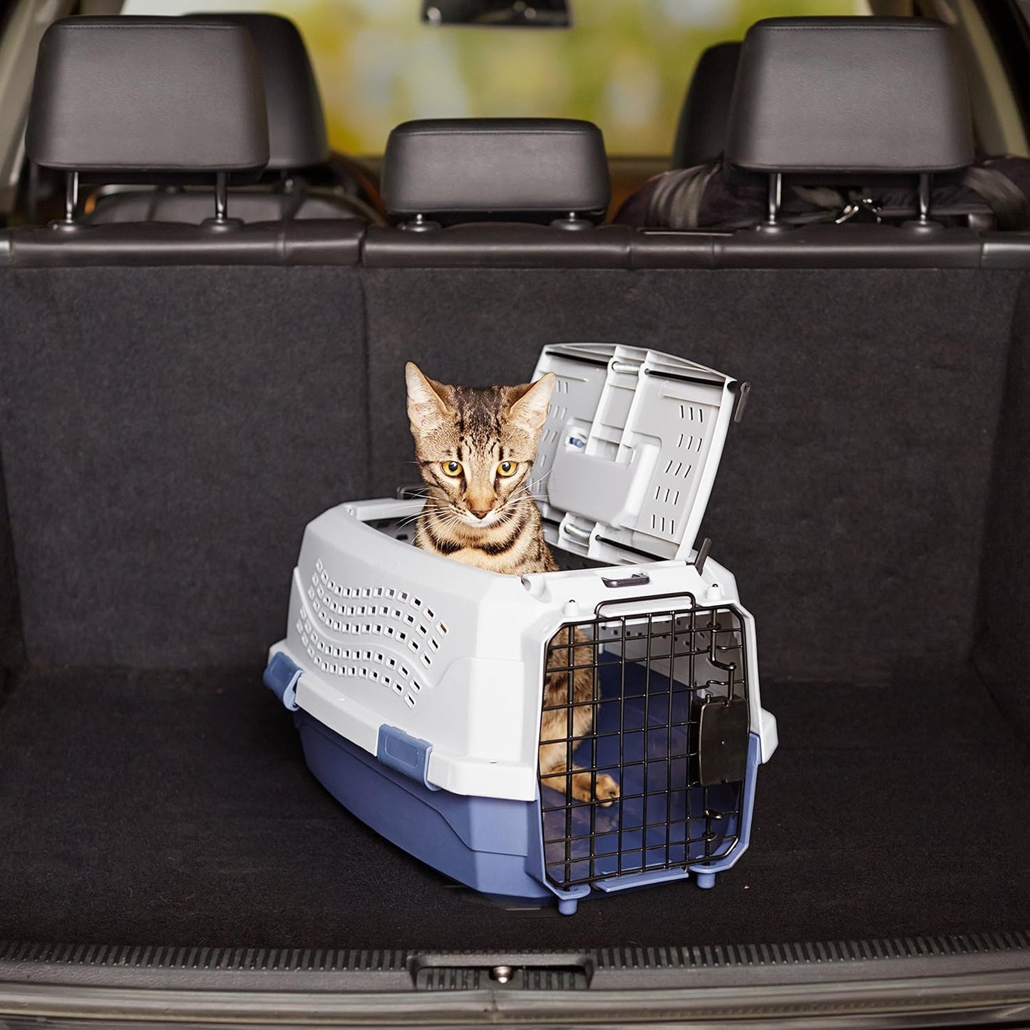 Amazon Basics 2-Door Top-Load Hard-Sided Pet Travel Carrier for Cats and Small Dogs, 19" L x 12.6" W x 10" H, Gray & Blue