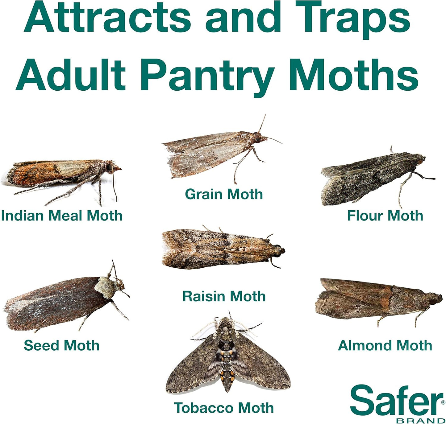 Safer 05140-AMAZ Pantry Moth Trap, 6