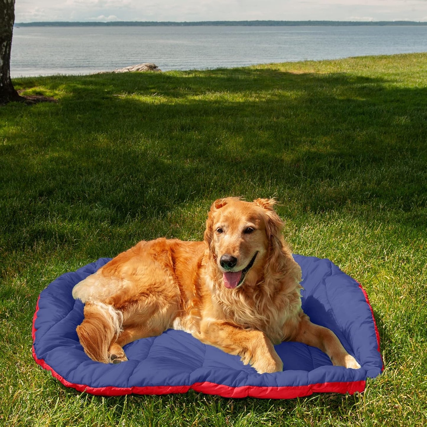 Furhaven Outdoor Travel Dog Bed for Large/Medium Dogs w/ Carry Bag, Washable & Foldable, Great for Crates & Kennels - Trail Pup Travel Pillow Mat w/ Stuff Sack Bag - Flame Red/True Blue, Large