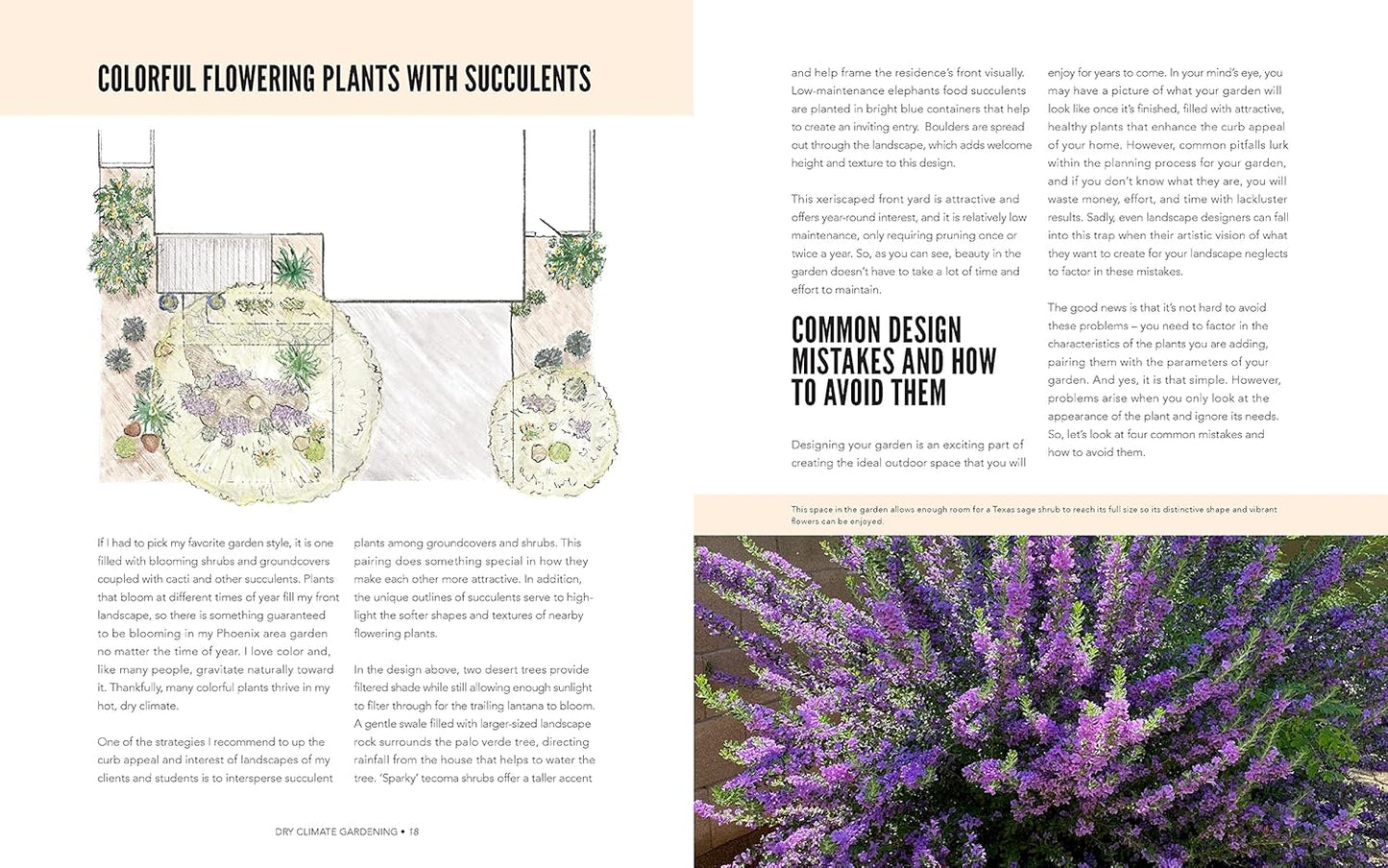 Dry Climate Gardening: Growing beautiful, sustainable gardens in low-water conditions