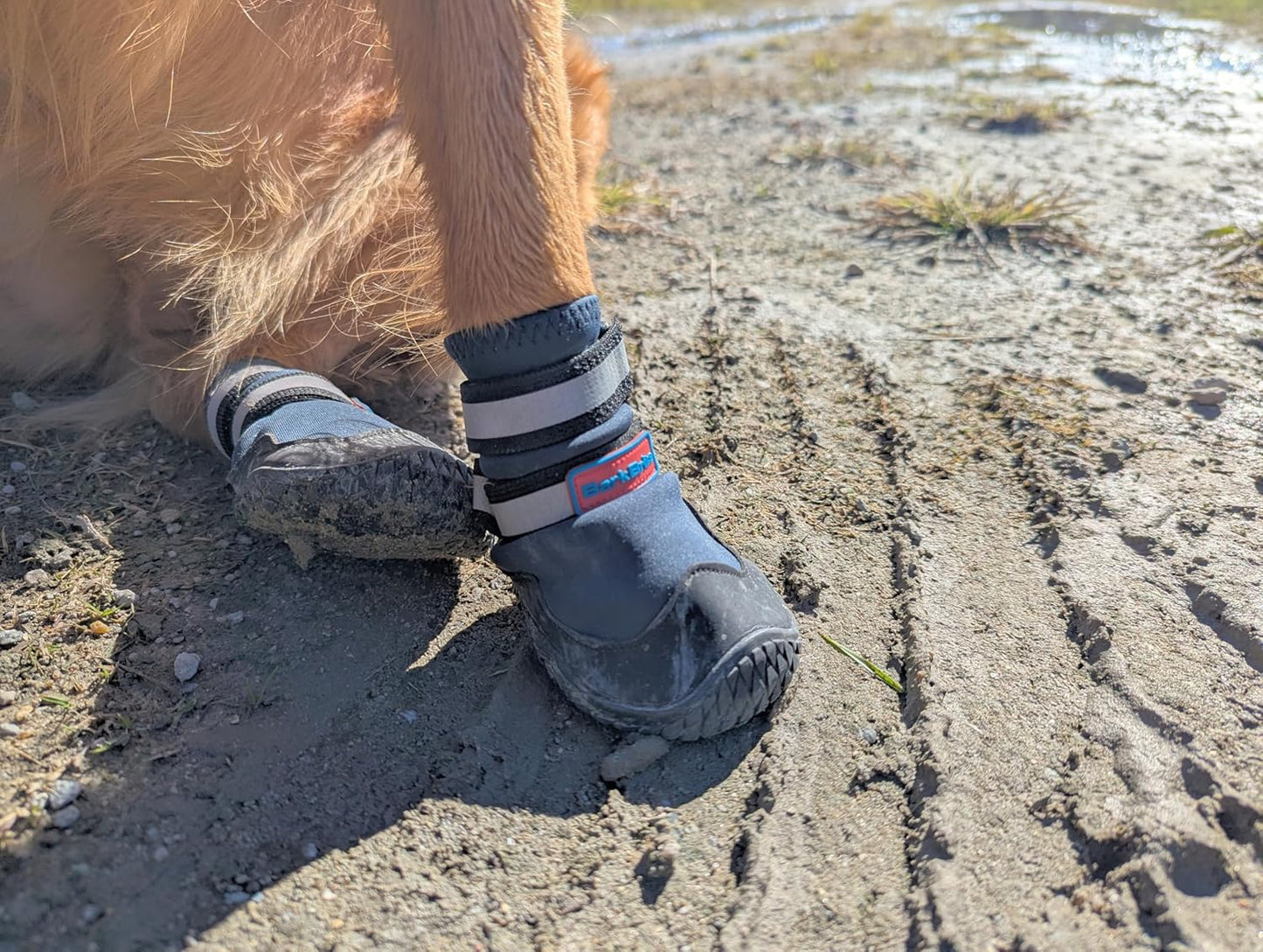 Bark Brite New All Terrain All Weather Neoprene Dog Shoe (Stone Blue, Small)