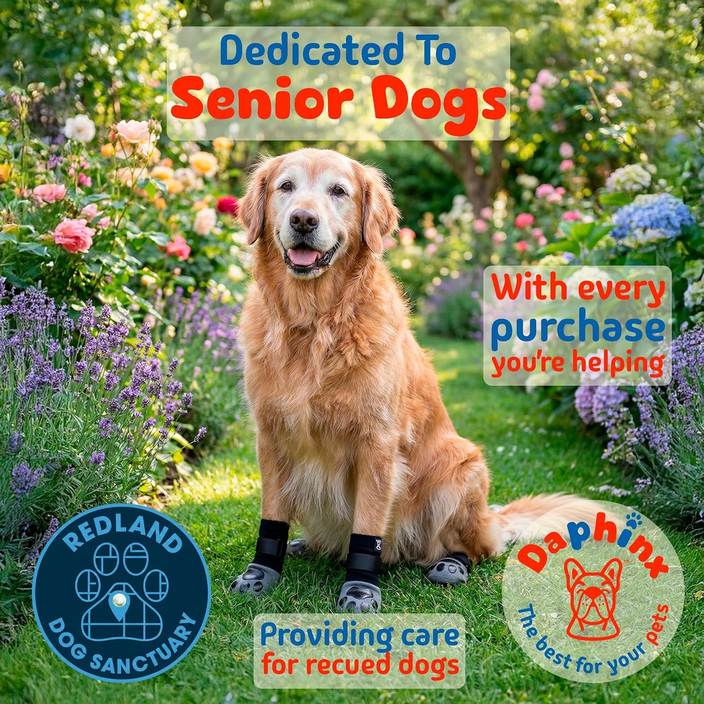 Dog Shoes, Booties, Boots & paw Protectors, Small, Medium and Large Size Dogs. Puppy Shoes for Summer hot Pavement, Snow, rain and Hiking. Anti-Slip Dog Socks for Hardwood Floors, no Lick (M)