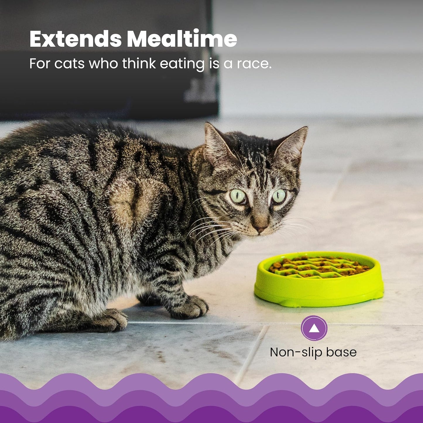 Catstages Kitty Slow Feeder Bowl for Cats & Small Dogs, Puzzle Dish for Fast Eaters, for Wet or Dry Food, Helps Slow Eating & Aid Digestion, Non-Slip, Made Without BPA, 3/4 Cup, 5-Inch, Green