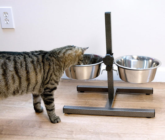 Iconic Pet Adjustable H-Design Double Diner - Non-Skid Rubber Base Noise Free Stable Dog Food Stand with 5 Quart/ 160 oz Stainless Steel Elevated Dog Food Bowls for Proper Growth & Digestion