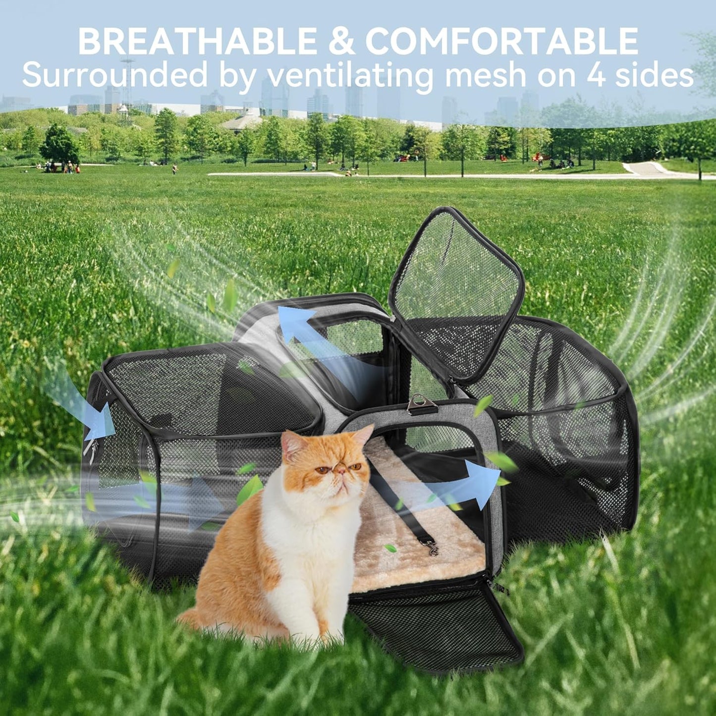Petsfit 17" x 11" x 11" Airline-Approved Expandable Pet Carrier, 2X Square Expansion Reduces Pet Anxiety, Escape-Proof Self-Locking Zippers, 5 Easy-Access Entrances, for Cats & Small Dogs up to 15 lbs
