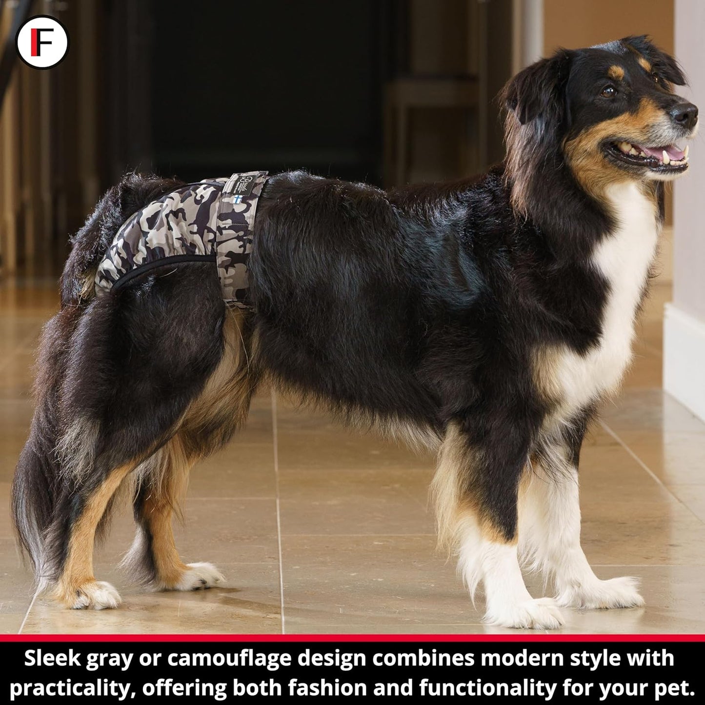 FINNERO Brenda Reusable Dog Diaper, Leak-Proof, Adjustable, Heat & Incontinence Protection, M – Gray