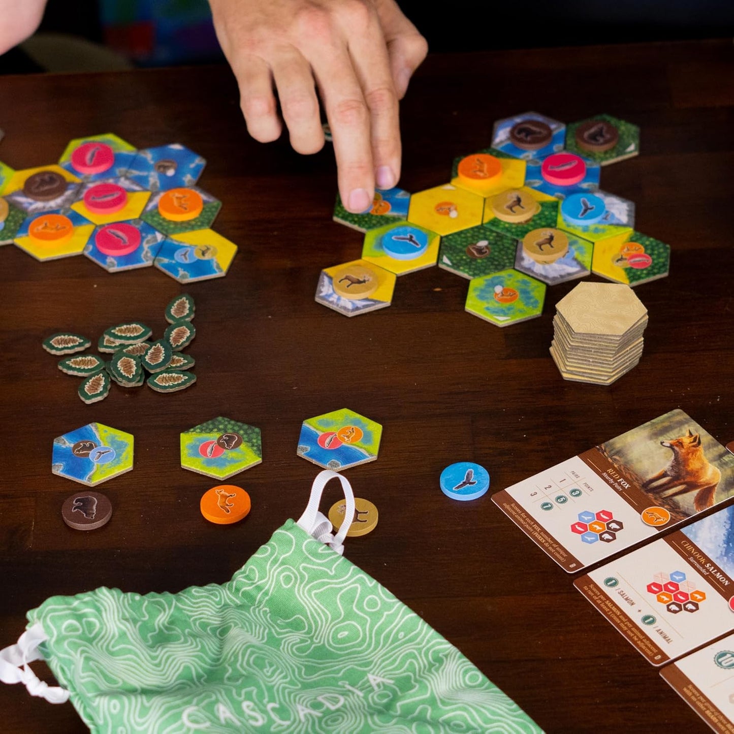 AEG & Flatout Games | Cascadia - Award-Winning Board Game Set in the Pacific Northwest | Easy to Learn | Quick to Play | Ages 10+
