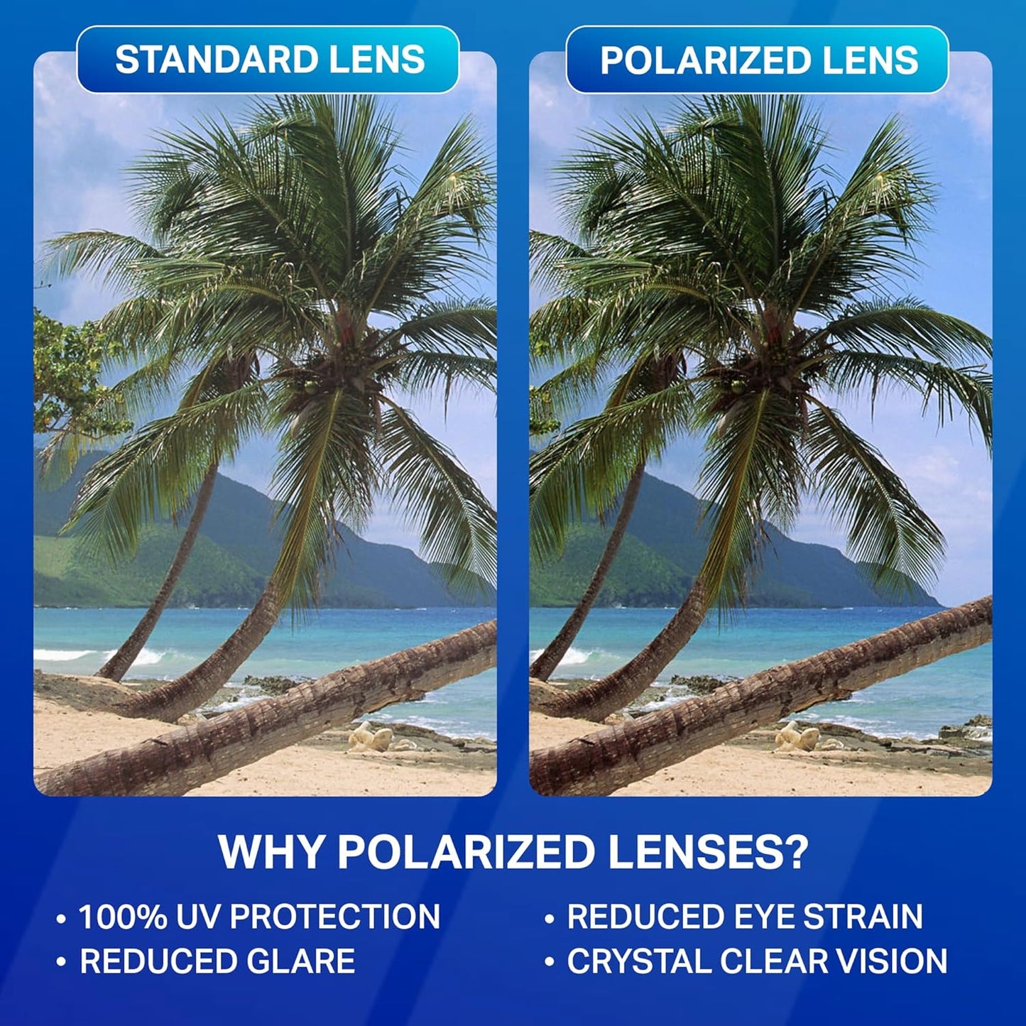 Blenders Eyewear Canyon – Polarized Sunglasses – Active Style, Durable Frame – 100% UV Protection – For Men & Women