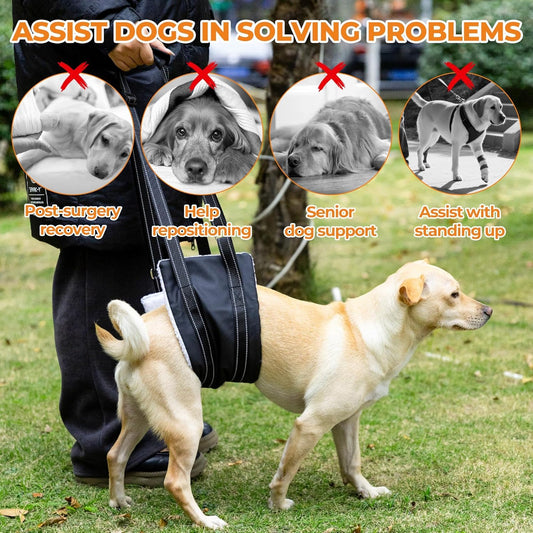 Dog Lift Harness, Adjustable Comfortable Dog Sling with Handle for Hind Leg Support Soft Lift Support and Rehab Harness for Weak Rear Legs, Helps Senior, Injured, Disabled and After ACL Surgery Dogs M