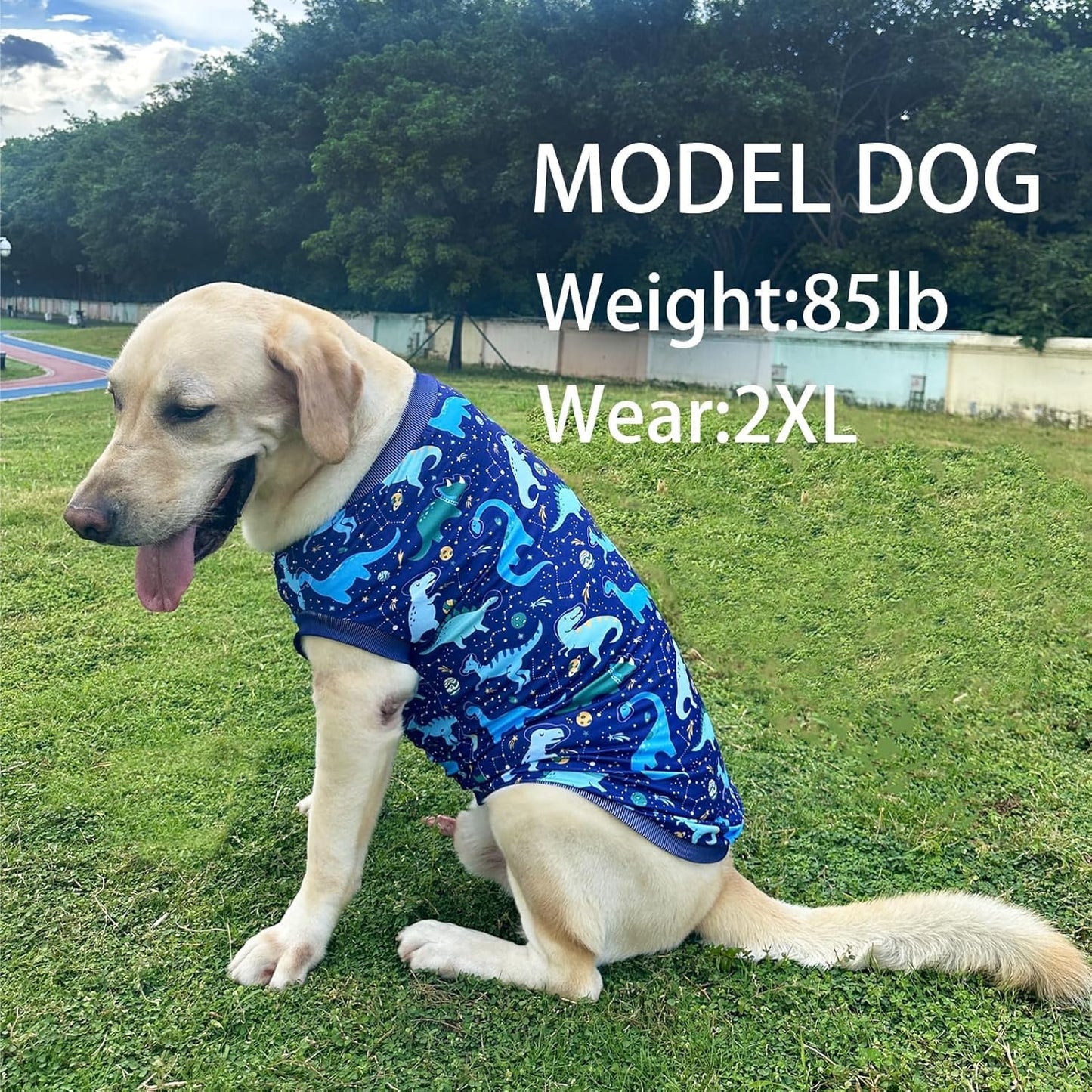 Dog Navy Sleeveless T Shirts with Universe Dinosaur Pattern Printed Soft Vest for Large Dogs (L, Vest)