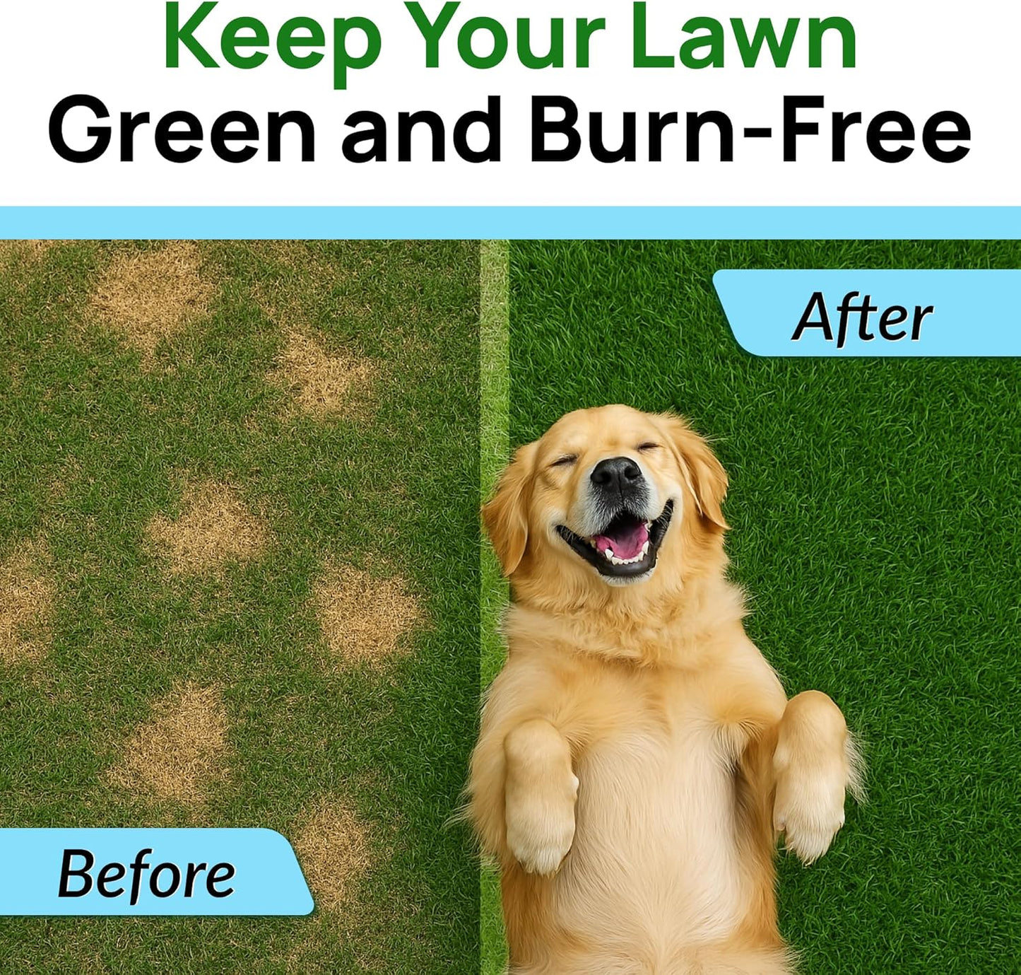 PAWFECTCHEW Green Grass Dog Chews w/Probiotics - Prevent Urine Burning Grass - Dog Pee Grass Spot Saver - Dog Urine Neutralizer for Lawn Treats, UT & Gut Health for Dogs, Lawn Burn from Dog Urine