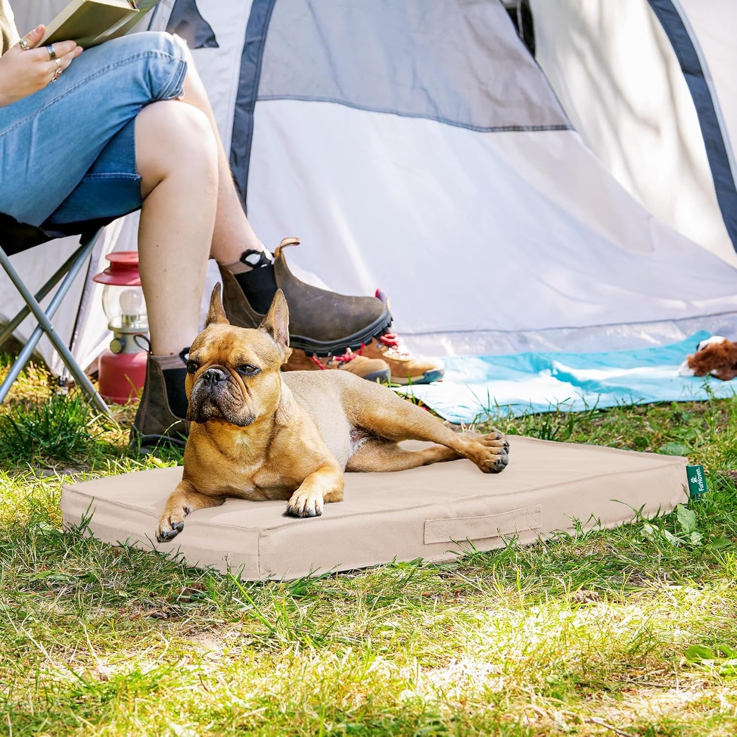 Premium Indoor-Outdoor Deluxe Orthopedic Mattress Pet Bed, Biscuit, Medium