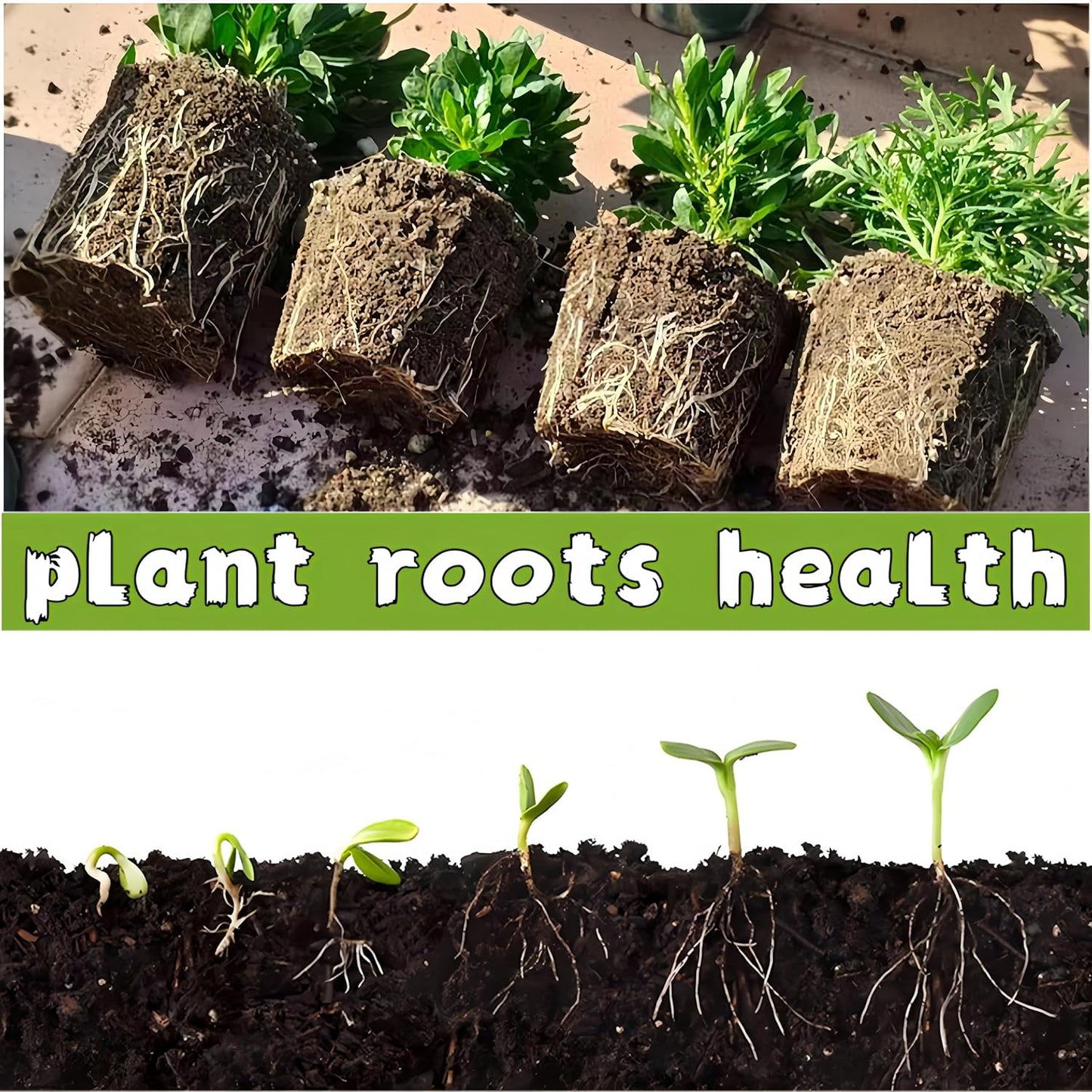 240 Cells Seed Starter Tray 24 Packs Biodegradable Peat Pots Germination Trays Organic Seed Starting Trays kit with 24 Labels 2 Transplant Tools