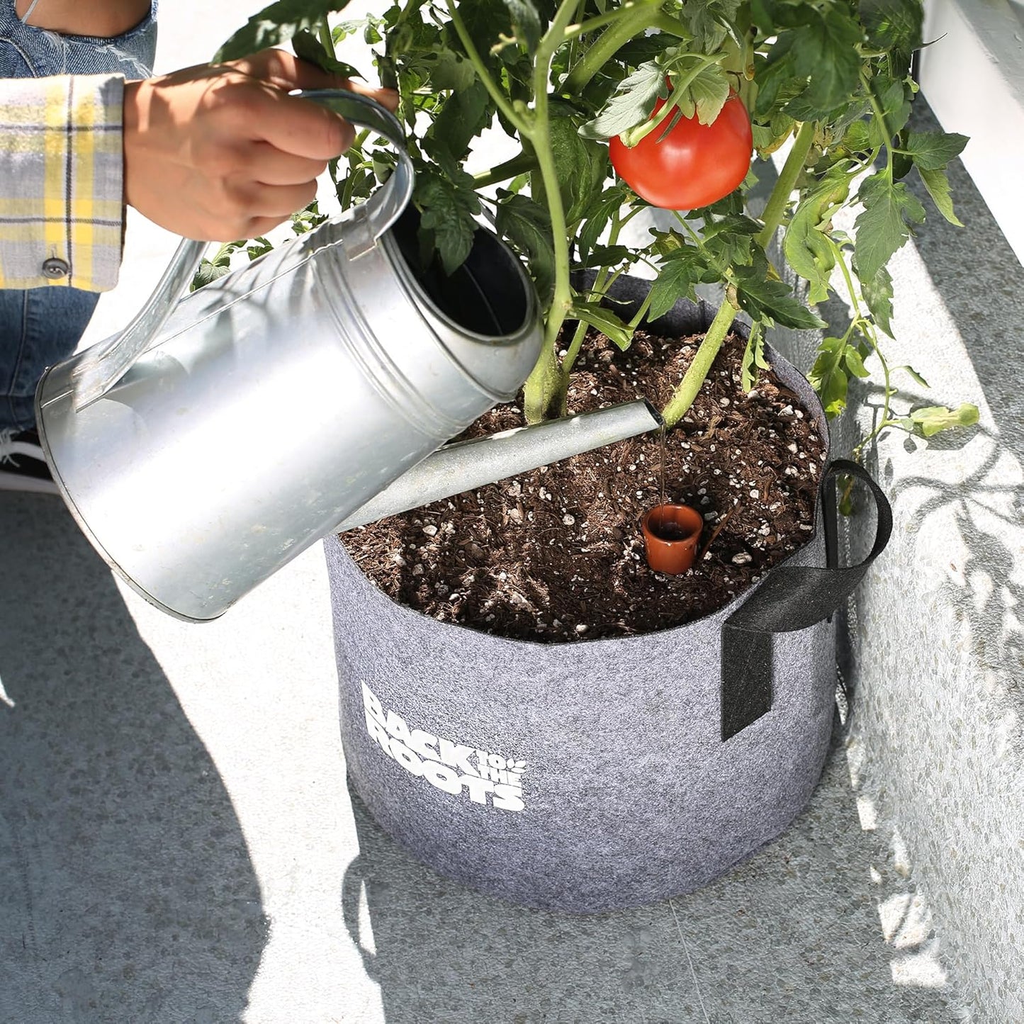 Back to the Roots Self-Watering Terracotta Olla Pot (Pack of 3), 700mL Provides 1 Week of Precision Watering