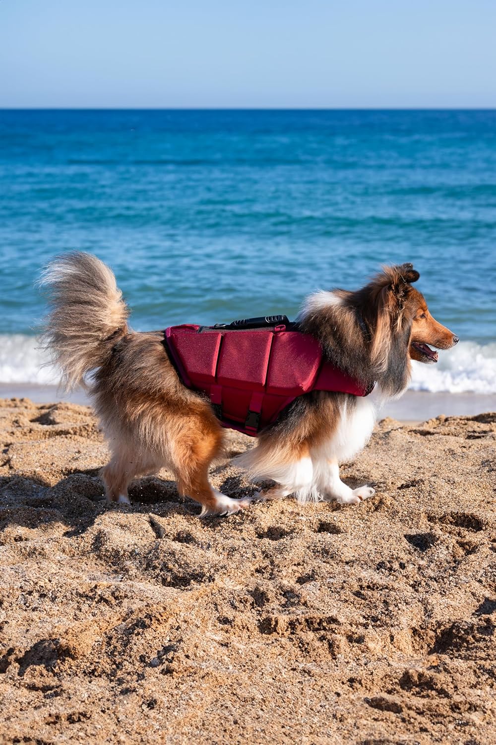 NOAH & PAW Dog Life Jacket, Human Standards Lifejacket Design, Dog Life Vest for Swimming and Boating, 3X Foam Support for Max Floating, Breathable Mesh, Salvavidas para Perros, Size XL