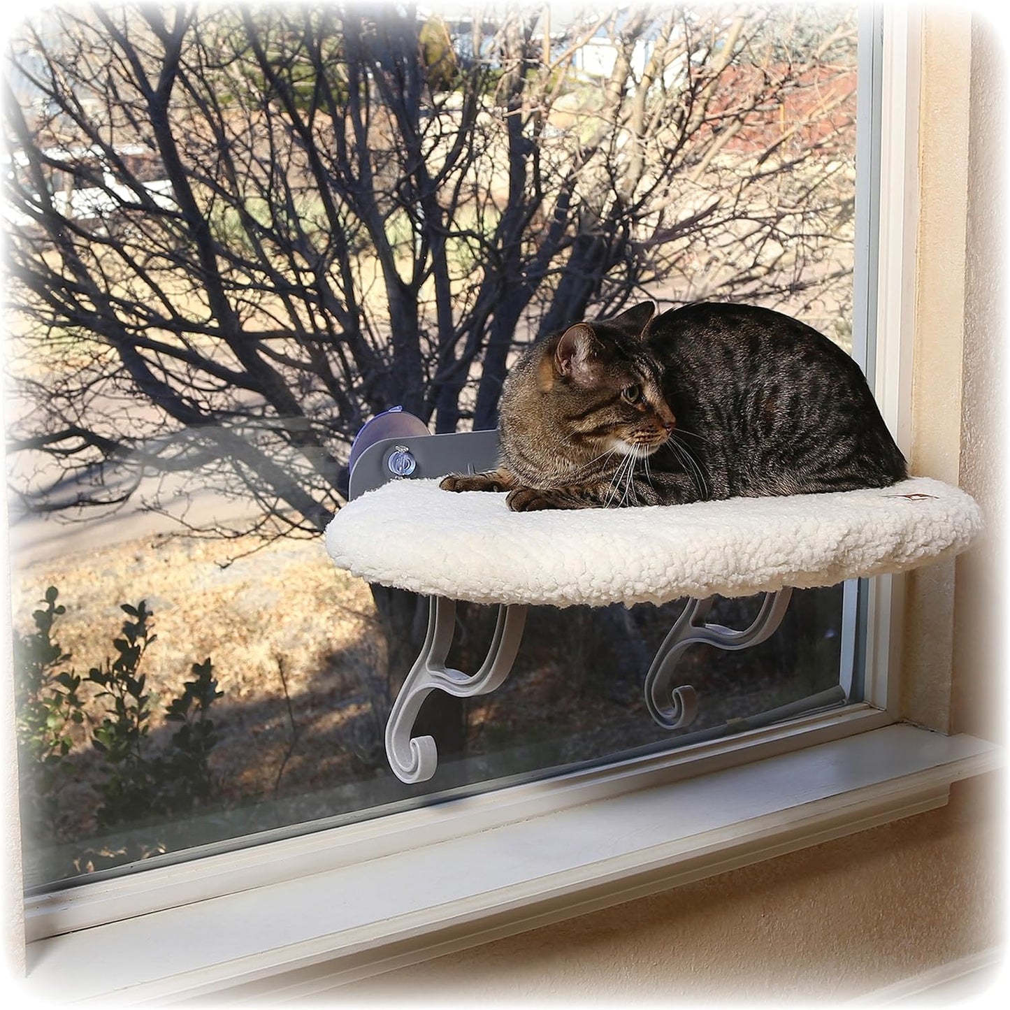 K&H Pet Products Universal Mount Cat Window Perch Bed for Large Cats, Orthopedic Window Hammock Holds 60 lbs, Sturdy Suction Cups, Washable Cover, Indoor Windowsill Furniture Bed - 14 X 24in Fleece