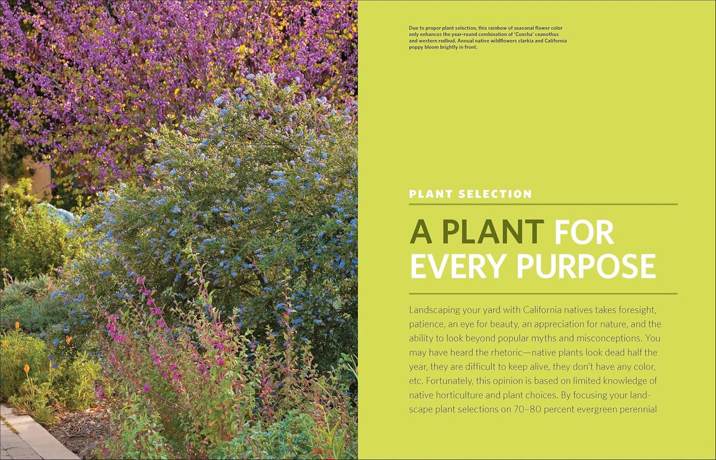 The Drought-Defying California Garden: 230 Native Plants for a Lush, Low-Water Landscape