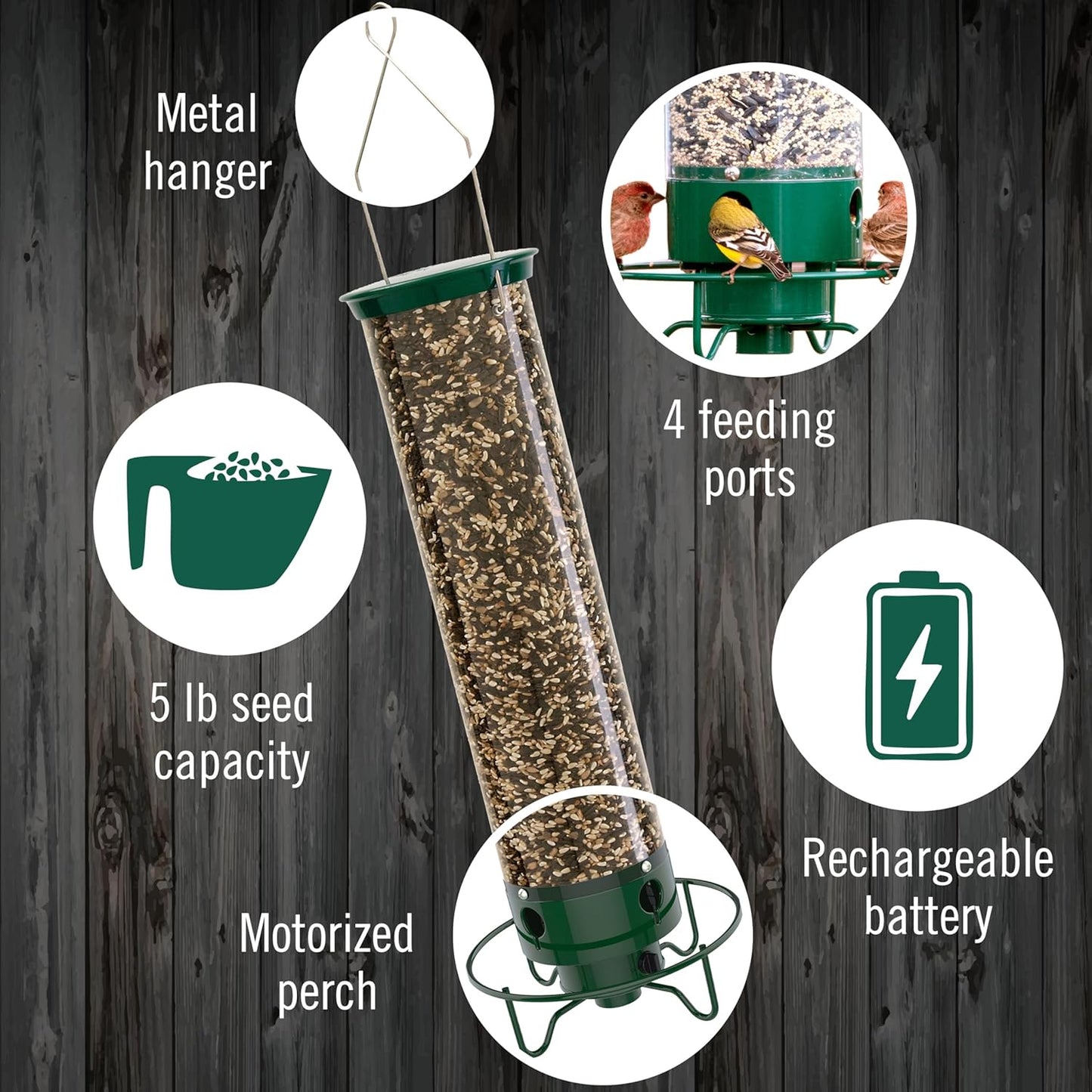 Droll Yankees Squirrel Proof Bird Feeders for Outdoors - YF-M - Flipper, Collapsible Perches, 5-Pound Seed Capacity, Green