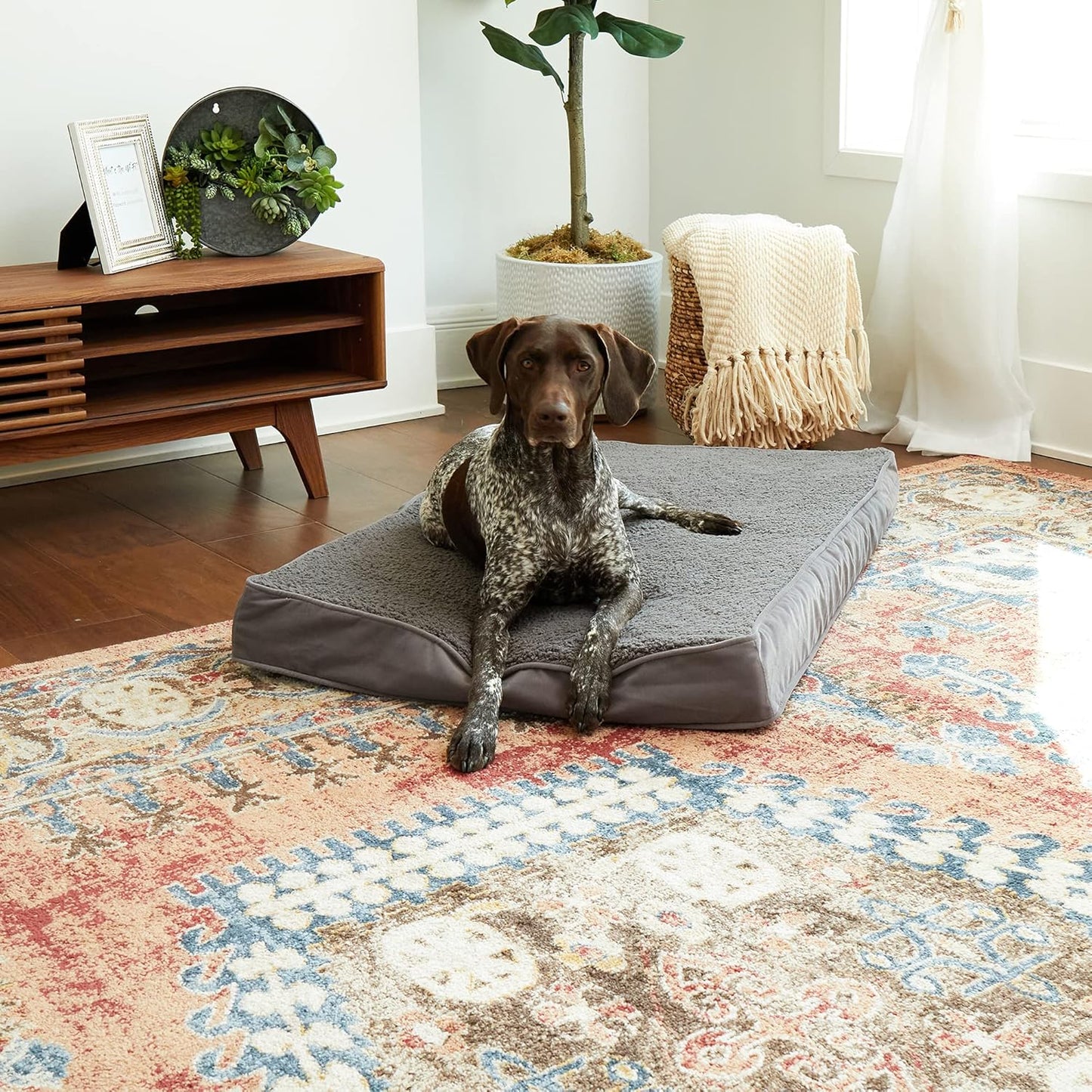 South Pine Porch Darla Deluxe Reversible Microfiber and Sherpa Supportive Rectangle Dog Bed with Removable, Machine-Washable Cover, Gray, Medium (42 in. x 30 in.)