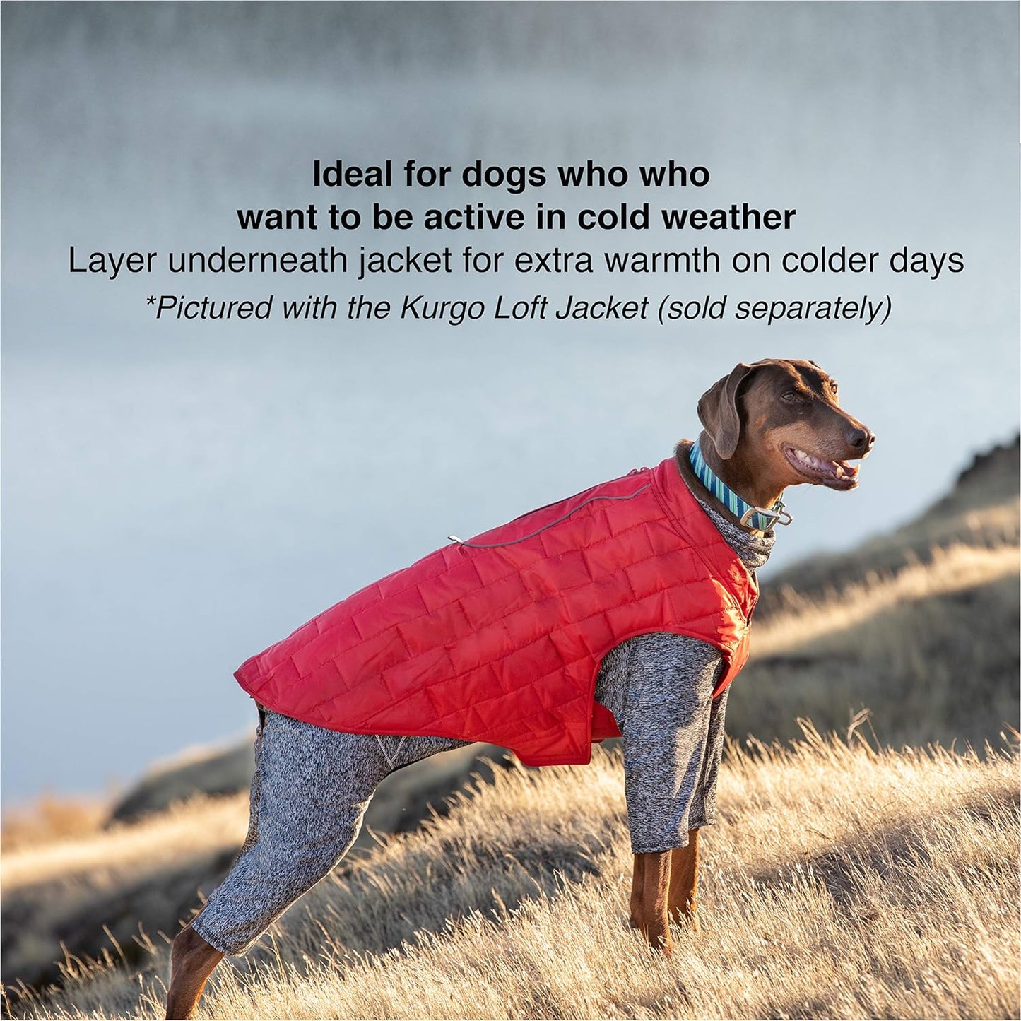 Kurgo Stowe Base Layer - Comfortable, Cold-Weather Pet Wear - Breathable Snug Fit - Dual-Zipper Dog Onesie - Reflective Side Seams - Dog Pajamas - Machine Washable - Large - Black/Grey