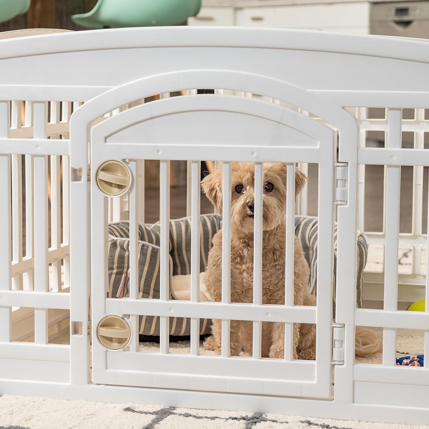 IRIS USA Dog Playpen with Door, 24” 4 Panel Pet Exercise Pen – Indoor Outdoor Puppy Play Pen, Portable Plastic Pet Fence for Small Medium Dogs, Foldable 35” x 35” x 24”, White
