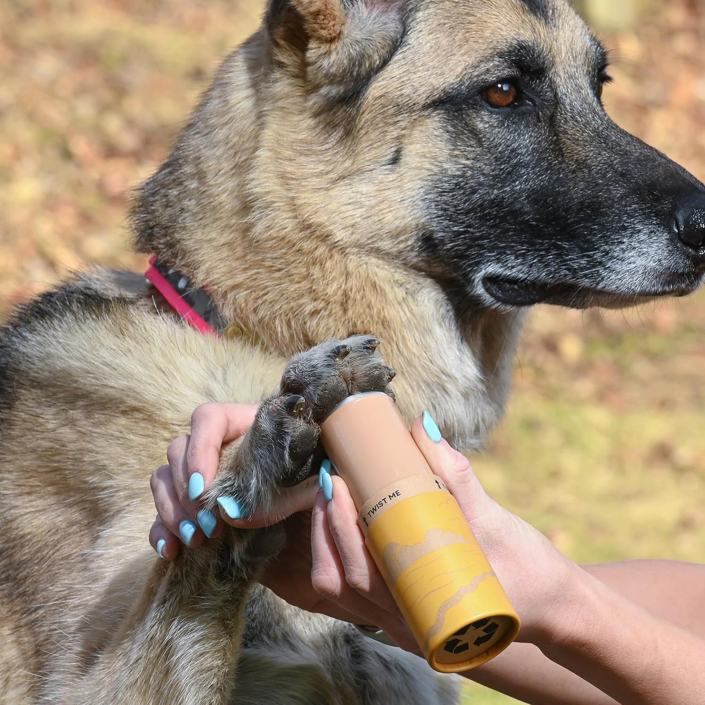 Dog Paw Protection for Beaches and Streets (2 Tubes + Cloth) - Summer Care Pack to Protect Your Pupper Against Hot Pavement, Sharp Rocks, Sand, Beach Hazards - Natural Ingredients - USA