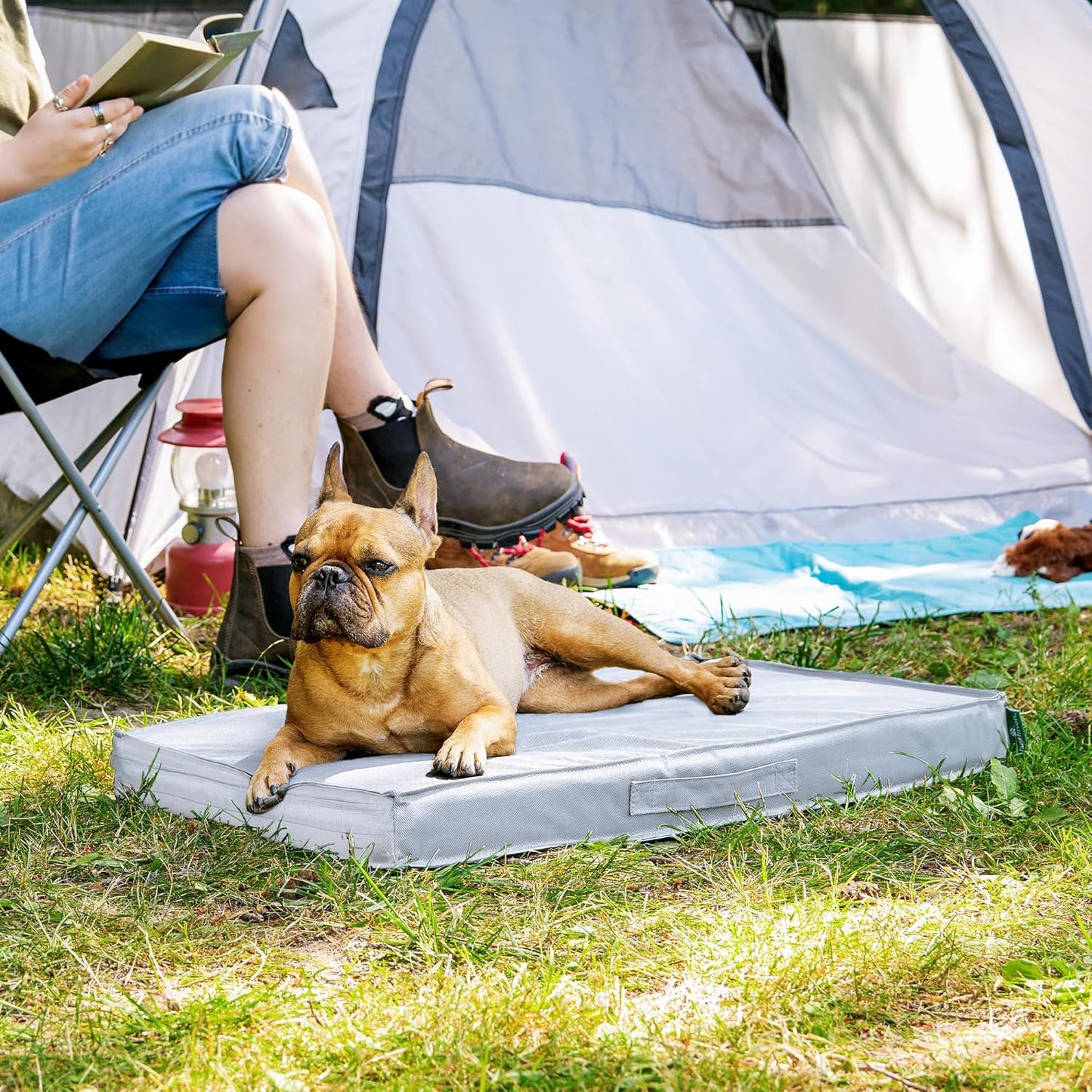 Premium Indoor-Outdoor Deluxe Orthopedic Mattress Pet Bed, Gray Mist, Medium