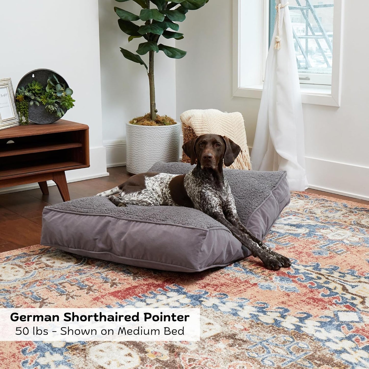Buster Deluxe Reversible Pillow Style Sherpa Dog Bed, Gray, Medium (42 x 30 in.)