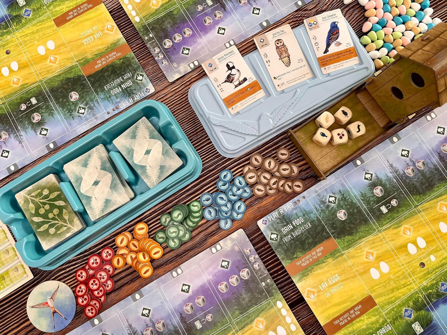 Stonemaier Games: Wingspan (Base Game) by Elizabeth Hargrave | A Relaxing, Award-Winning Strategy Board Game About Collecting Birds for Adults and Family | 1-5 Players, 70 Mins