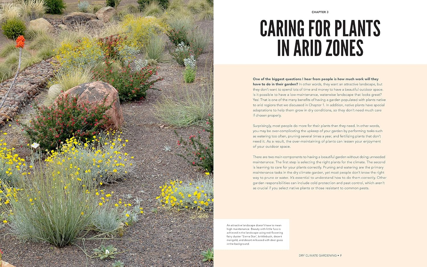 Dry Climate Gardening: Growing beautiful, sustainable gardens in low-water conditions