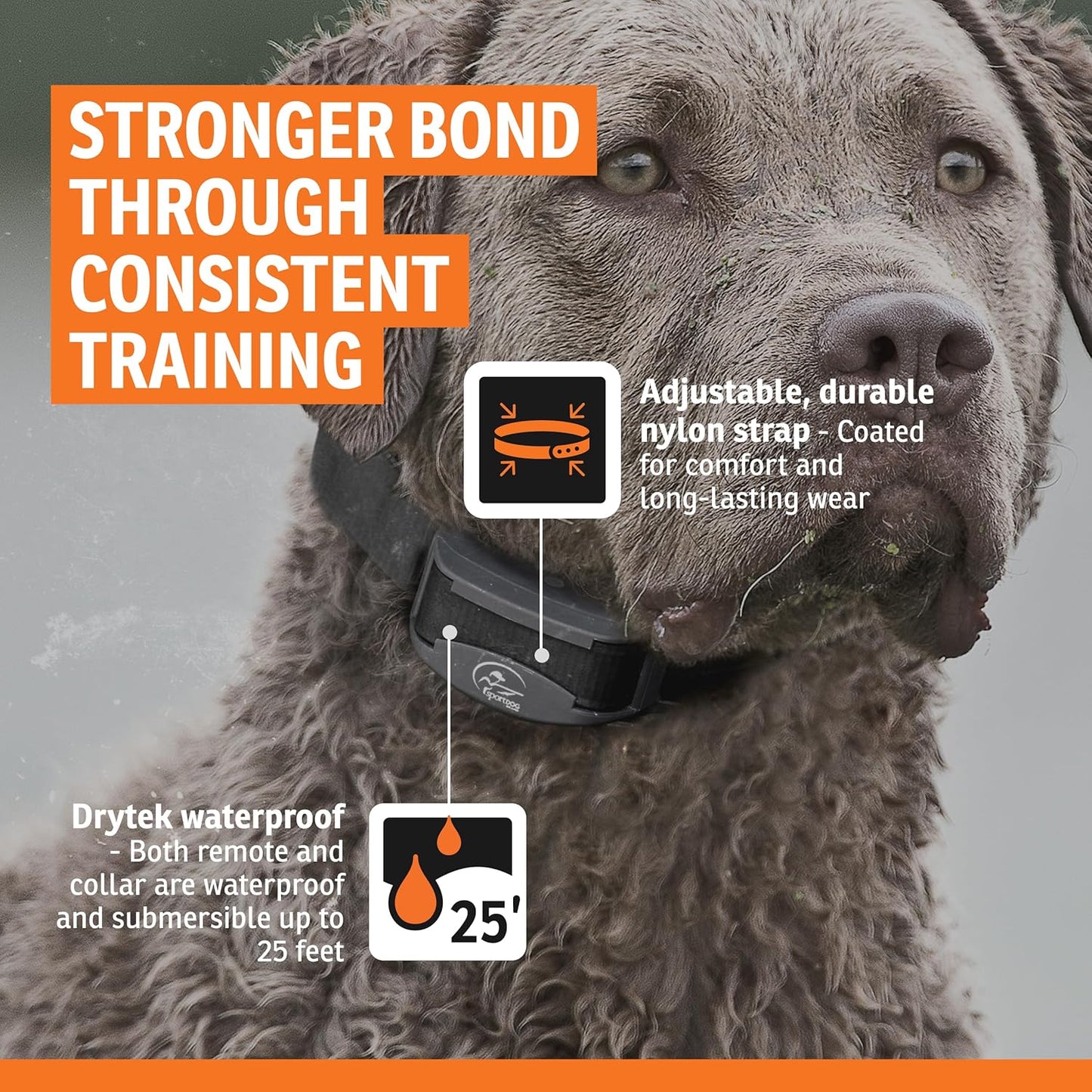 SportDOG FieldTrainer 425XS - Remote Trainer Designed for Off-Leash Control & Training - for Stubborn Dogs - 500-Yard Range - Waterproof - Quick-Charge Collar - Static, Tone, & Vibration
