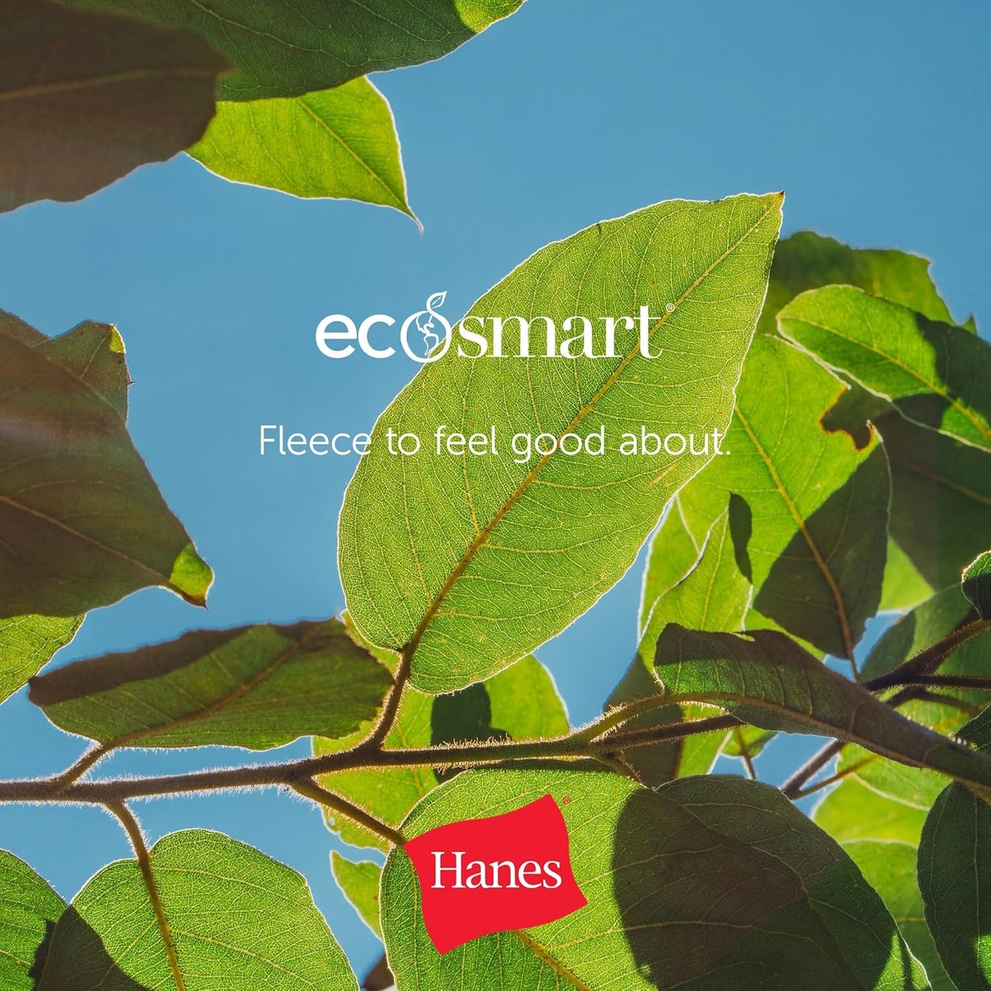 Hanes Men's EcoSmart Hoodie, Midweight Fleece, Pullover Hooded Sweatshirt