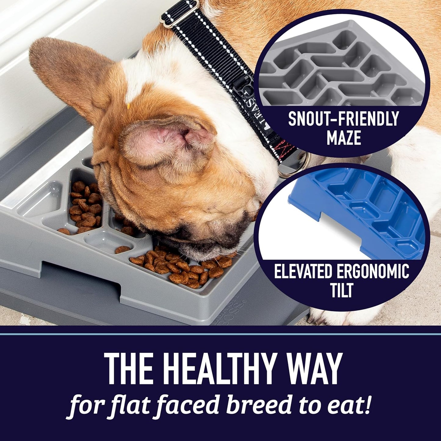 Leash Boss Slow Feeder Dog Bowl for Flat Face Breeds, Tilted Slow Feed Bowl for Dogs & Cats, Slanted Maze Food Bowl for French Bulldogs, Pugs, Boston Terriers, Flat Face Dog Bowls Large, Small Breed
