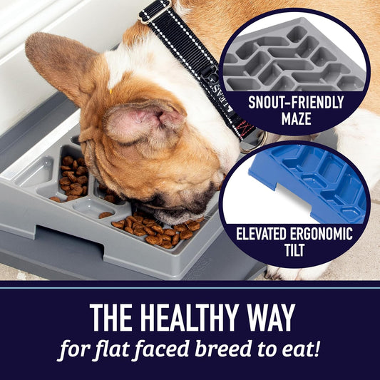 Leash Boss Slow Feeder Dog Bowl for Flat Face Breeds, Tilted Slow Feed Bowl for Dogs & Cats, Slanted Maze Food Bowl for French Bulldogs, Pugs, Boston Terriers, Flat Face Dog Bowls Large, Small Breed