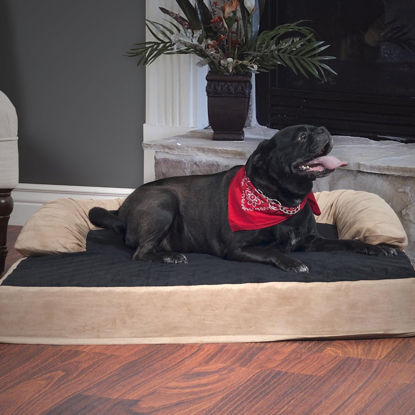 PETMAKER Extra-Large Dog Bed – 45.5 x 32 Pet Bed - 3-Layer Orthopedic Dog Sofa with Cooling Gel, Memory Foam and Neck Bolster (Tan/Black), XL