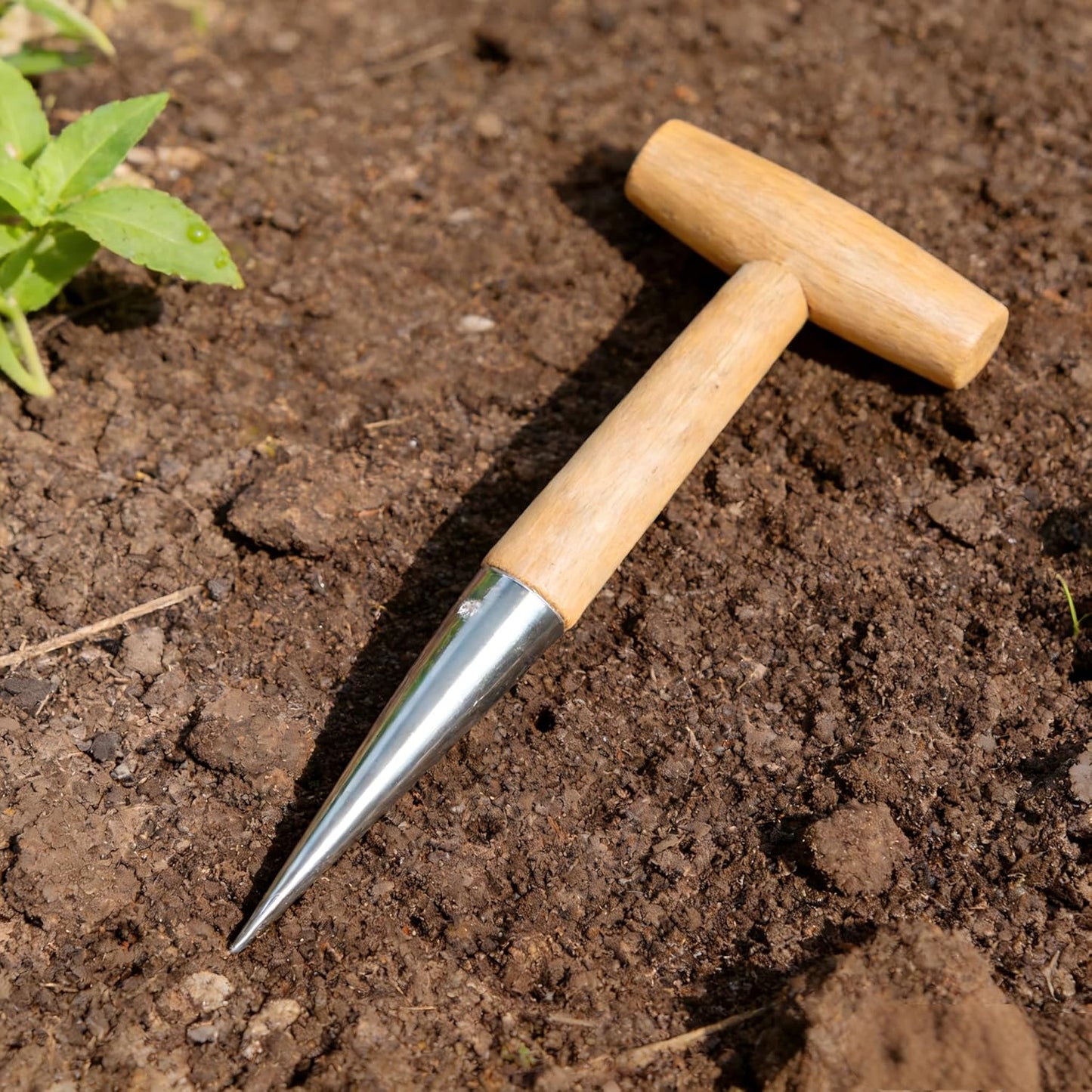 Seed Dibber Planter Tool, Bulb Hand Dibbler Gardening Tool with Depth Markings, 11'' Garden Wooden T-Handle Bulb Planting Tool with Metal Tip for Garlic, Tulips, Daffodils, Vegetable & Flower