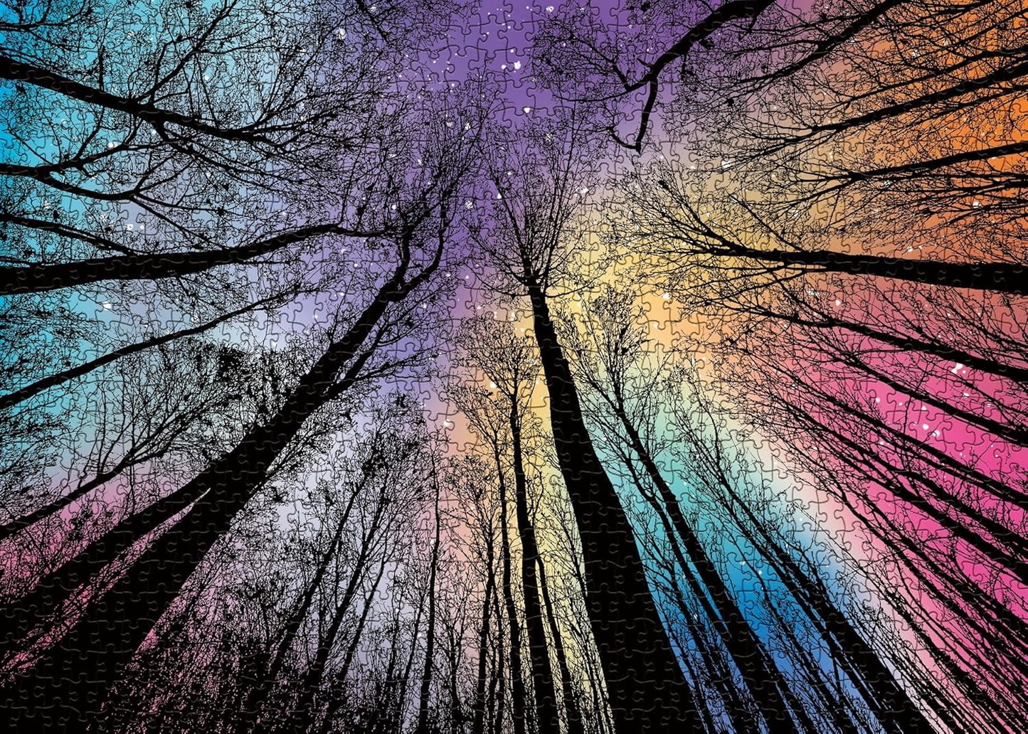 Hard Impossible Puzzles for Adults 1000 Piece, Challenging Difficult Puzzles for Adults, Colorful Gradient Jigsaw Puzzle for Adult