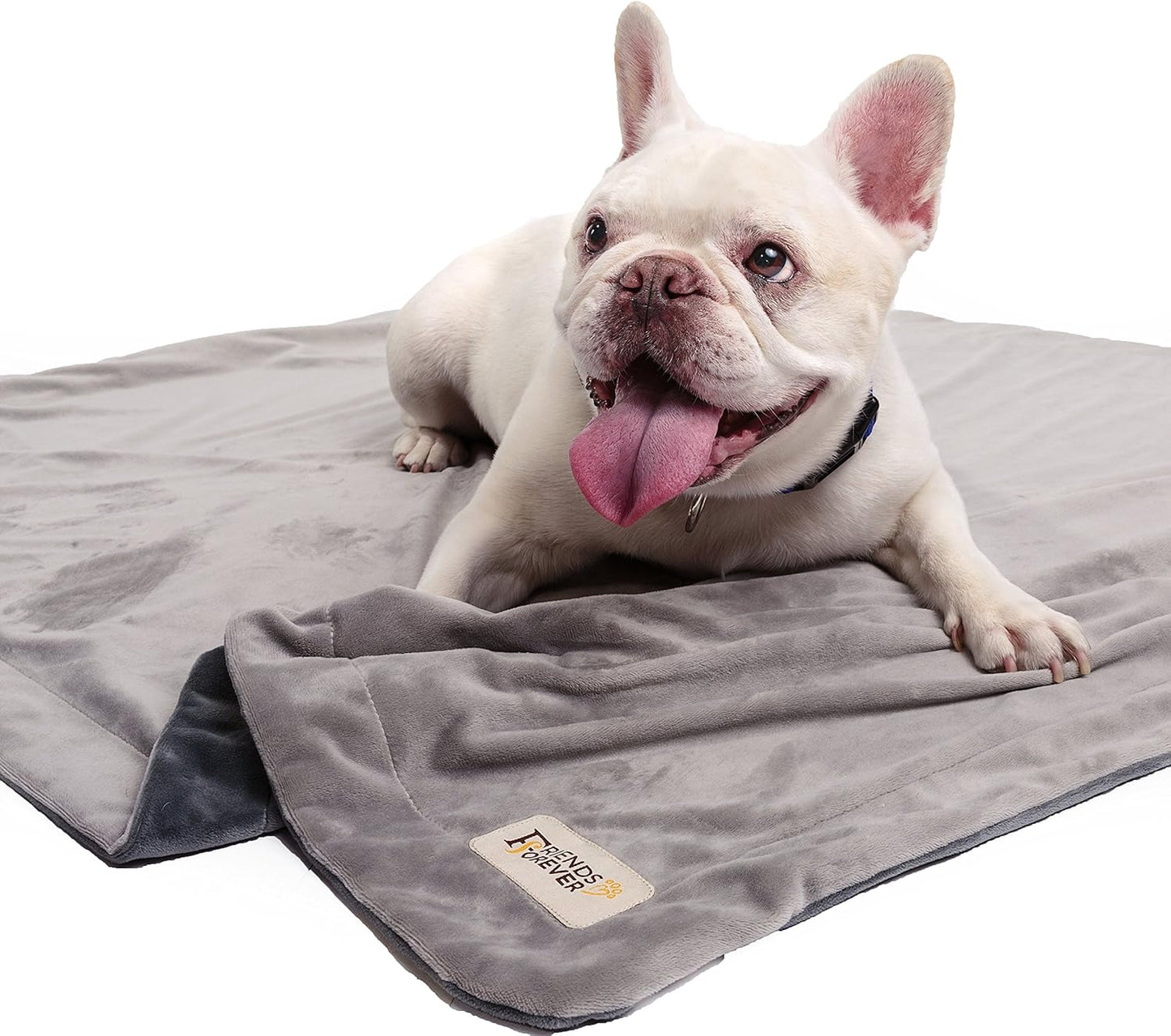 Friends Forever Durable Dog Blanket for Couch Protection | Two Tone Reversible Pet Hair Resistant Blanket for Dogs Cats Bed Kennel Crate Car Seat - Soft Velvet, Warm Fleece (Medium 45x35)