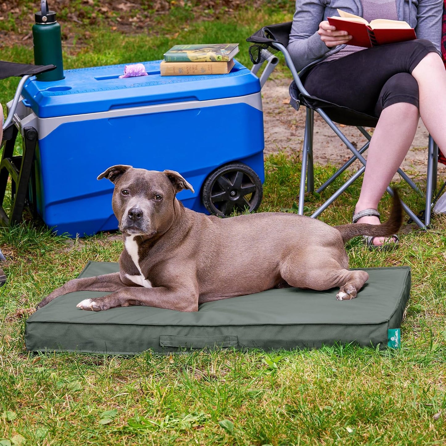 Premium Indoor-Outdoor Deluxe Orthopedic Mattress Pet Bed, Dark Olive, Large