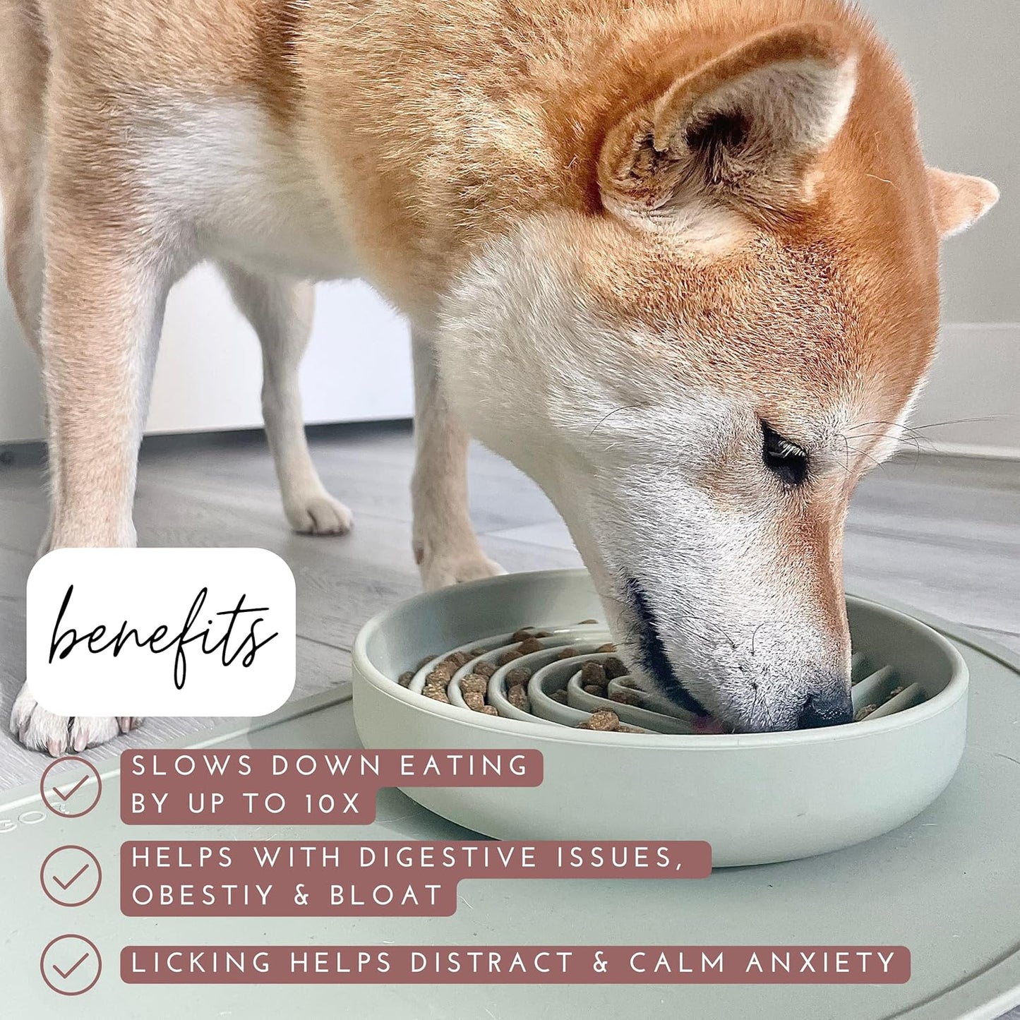 Should We Go? Slow Feeder for Dogs & Puppies, The Slowdown Bowl Silicone Slow Eating, Modern Lick Mat Design, Reduces Gulping, Fits 2 Cups, 7.5” Across x 1.5” Tall, Mealtime Challenge, Medium-Sand