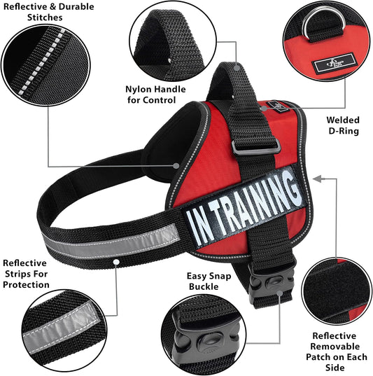 Service Dog in Training Vest - Adjustable No Pull Dog Harness with Patches. in Training Dog Vest for Service Dogs Small, Medium and Large Easy On/Off Dog in Training Harness for Service Dog Training