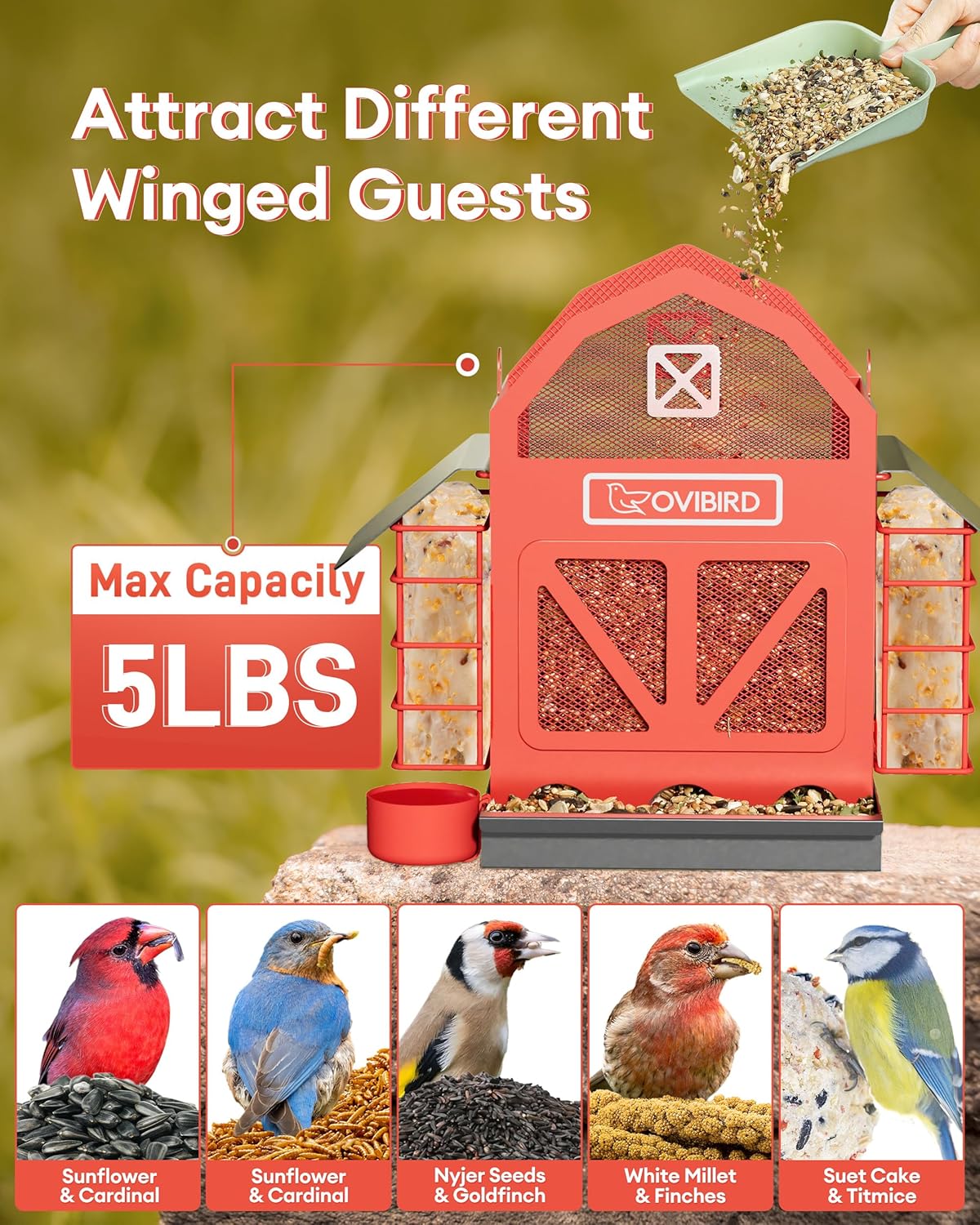 Bird Feeders for Outdoors Hanging, 5LBS Large Bird Feeder with 2 Suet Cage, Red Barn Metal Birds Feeder for Outside, Weather Resistant Cardinal Feeders, ldeal Birds Watching Gifts (Red)
